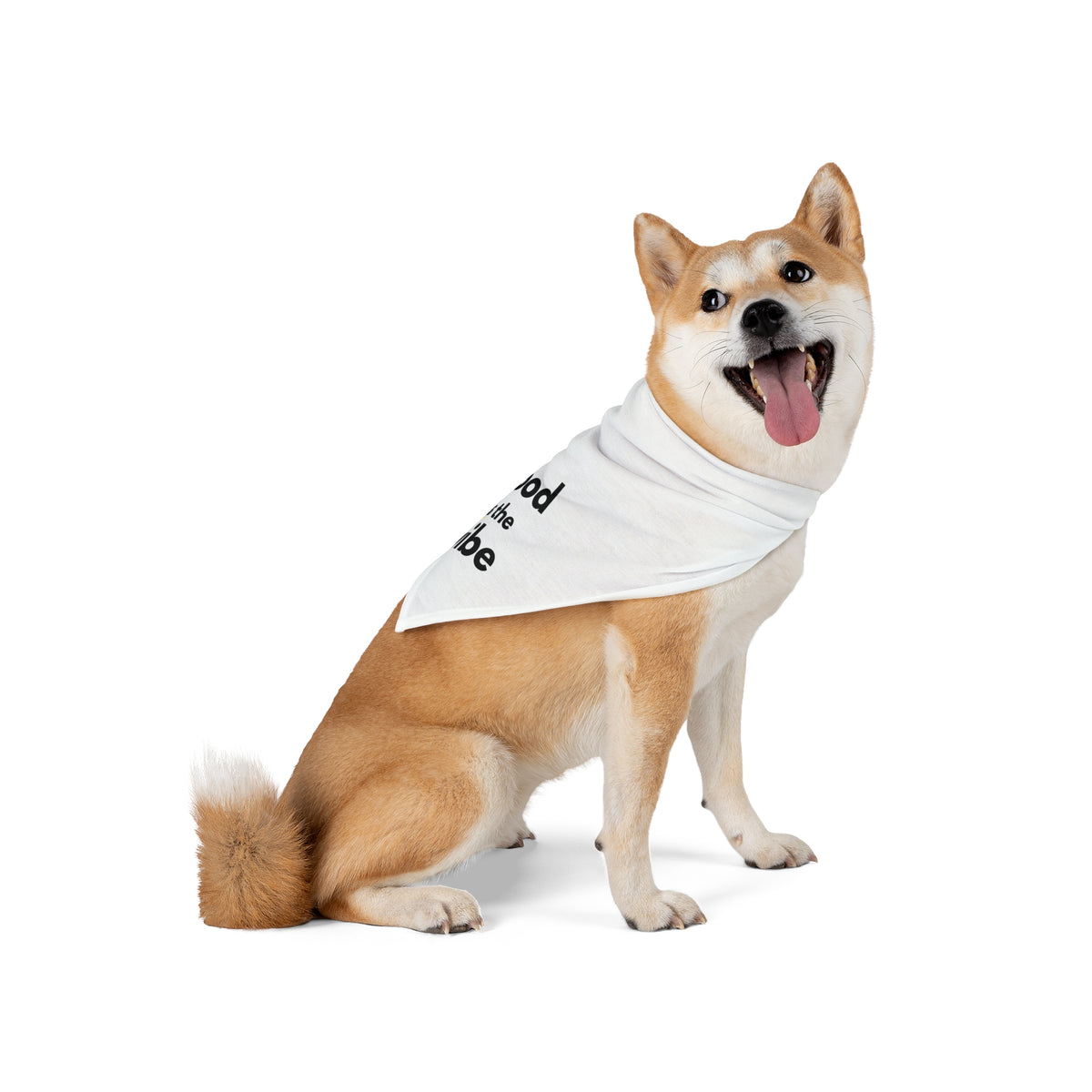Pet Bandana - "good is the vibe"