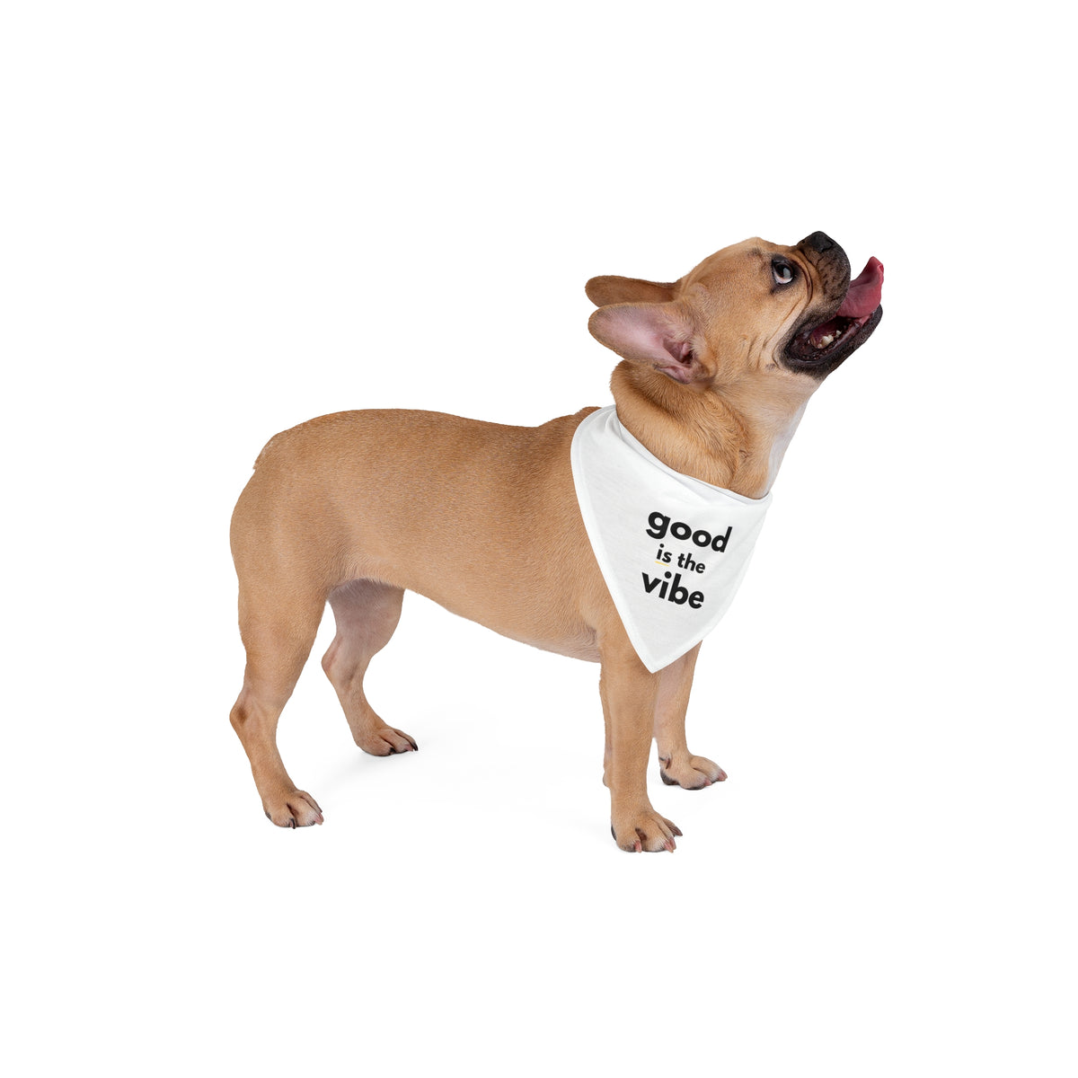 Pet Bandana - "good is the vibe"